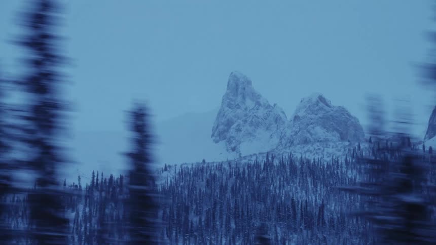 A landscape with a forest in front of a snow covered mountain range