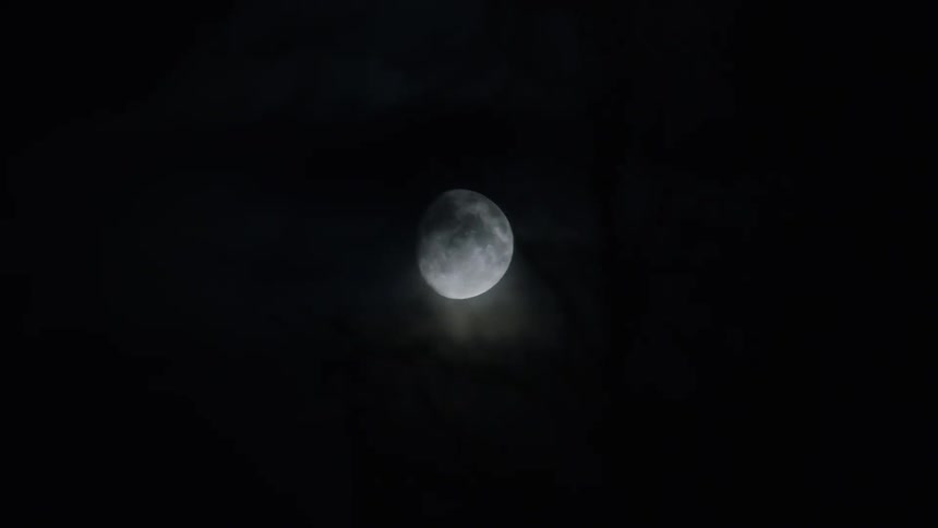 A shot of the moon near a forest