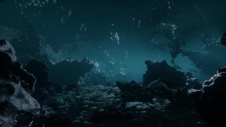 Asteroids float in the dark sky near the surface of an alien planet with a rough terrain and unusual vegetation