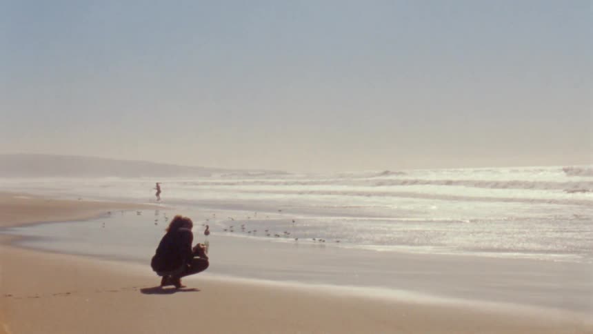 Female photographer photographs ocean waves and birds on the beach