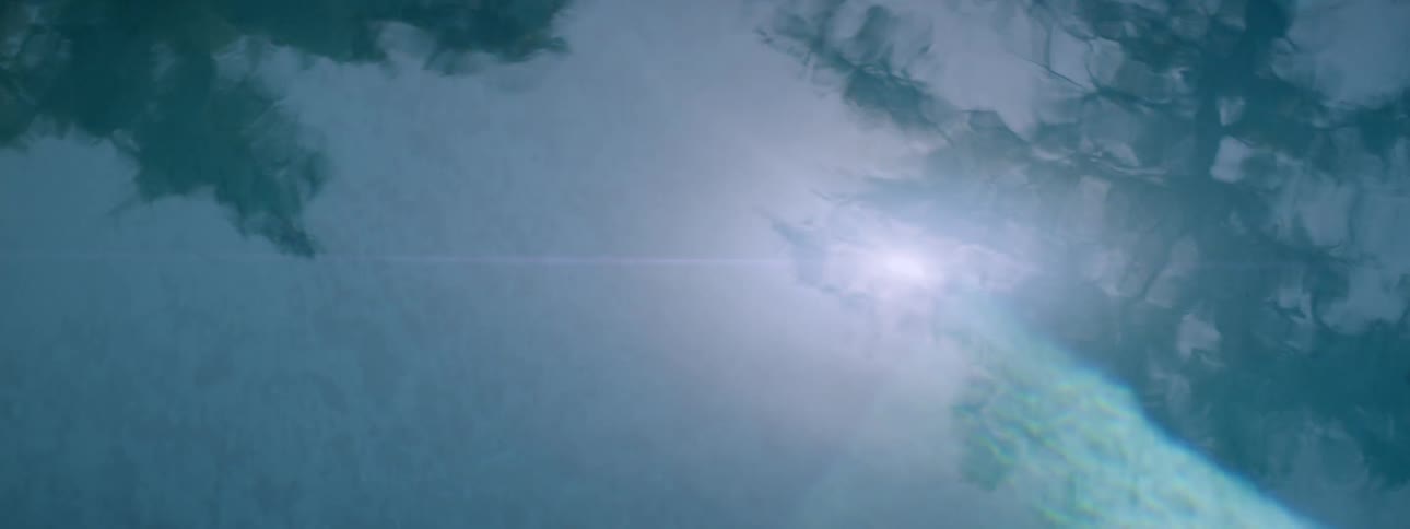 The reflection of trees and sunlight is shining on a body of water