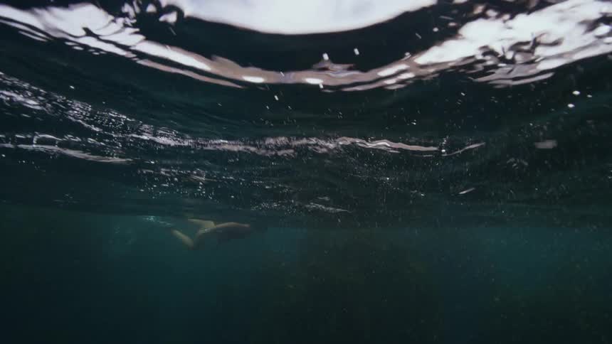 A woman swims in the ocean
