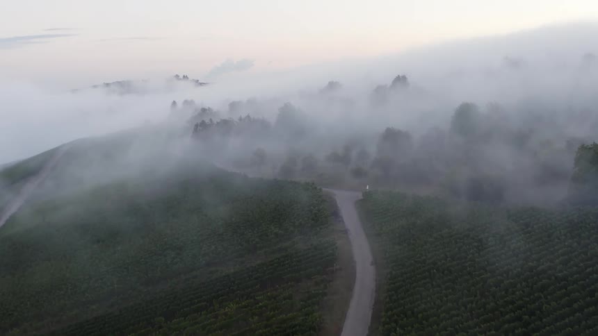 Thick fog moves over roads through farmland covering trees and hiding the horizon