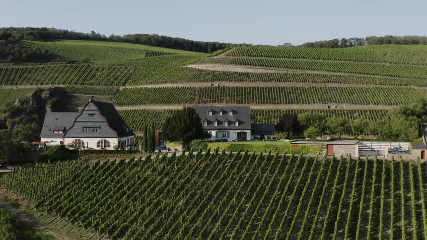 Aerial view of good hermannsberg vineyard