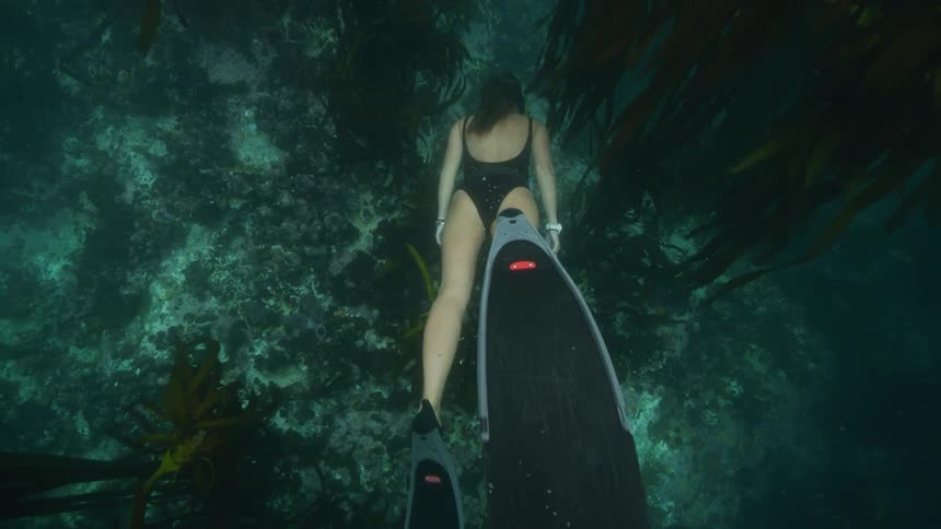 A woman wearing fins and a one piece bathing suit swims through a kelp forest near the ocean floor