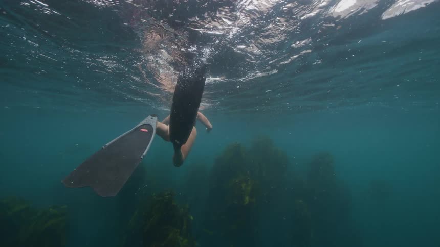 Woman with fins and swimsuit swims underwater