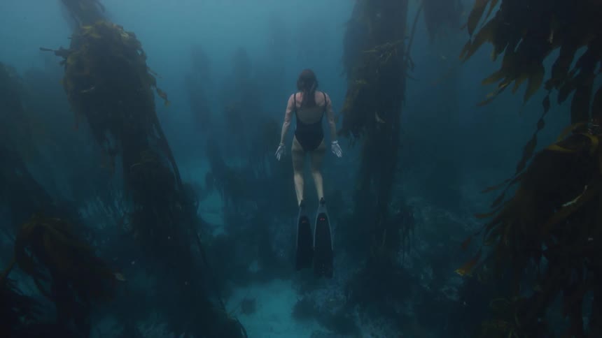 Under water footage of a woman swimming in the ocean