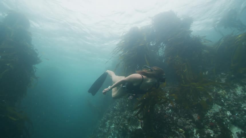 Woman with mask snorkel black swimsuit and fins swims underwater