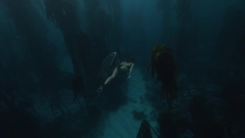 A woman swims past kelp in murky ocean water