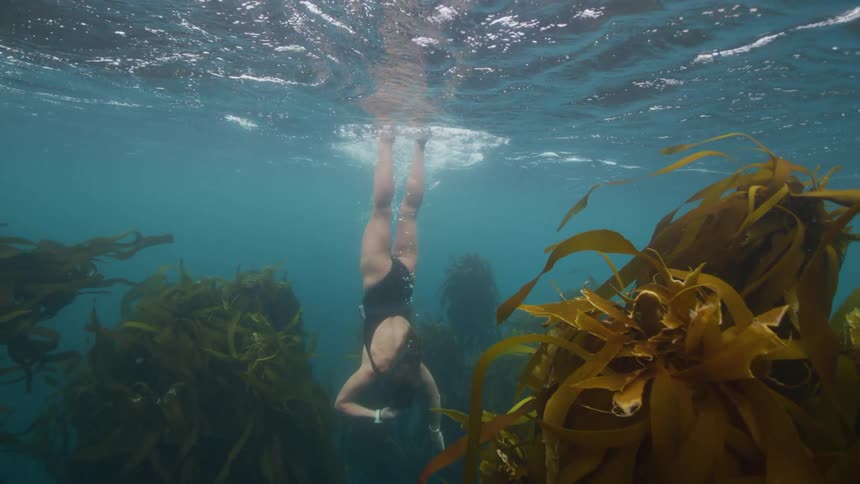 Woman in black swimsuit fins and snorkel goes snorkeling in water
