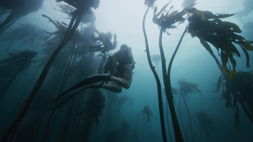 Shot of a woman swiming under the water