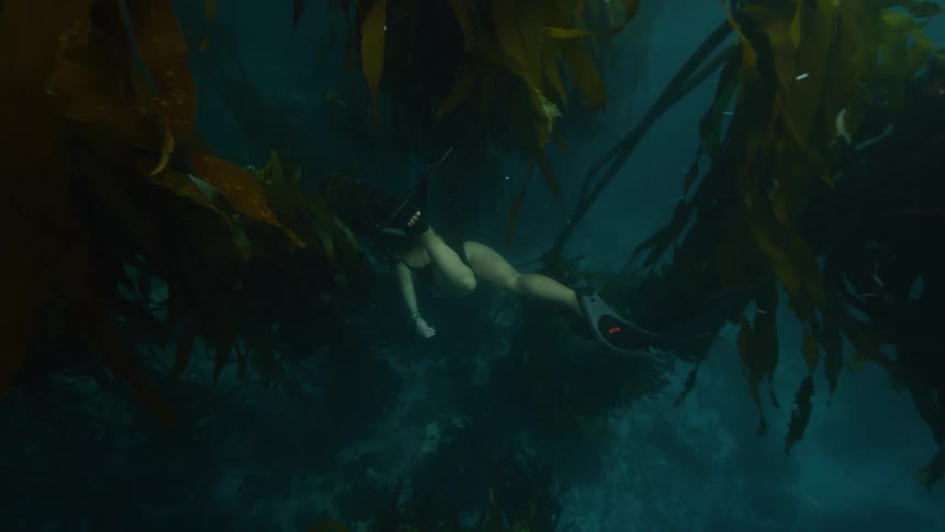 A woman diving in the ocean