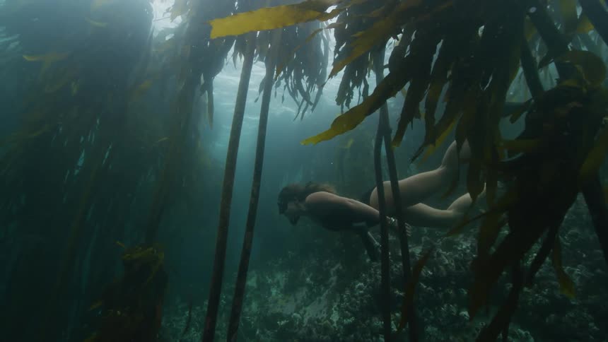 Female snorkeler swims past reef and kelp in murky water