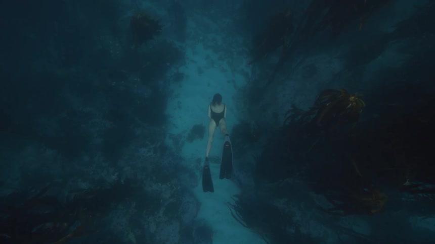 Woman scuba diving next to kelp