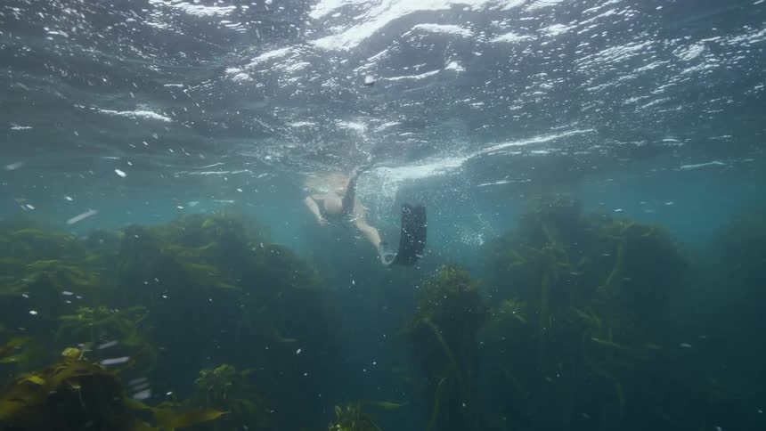 A woman swimming under water in the ocean