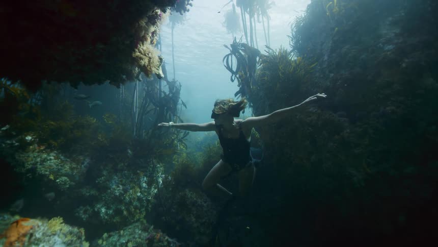 Slow motion underwater footage of a woman swimming through a kelp forest in the ocean