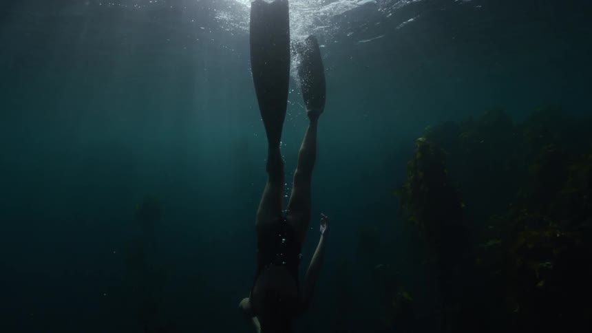 Sun shining through the water as a swimmer dives down into the water with flippers on her feet