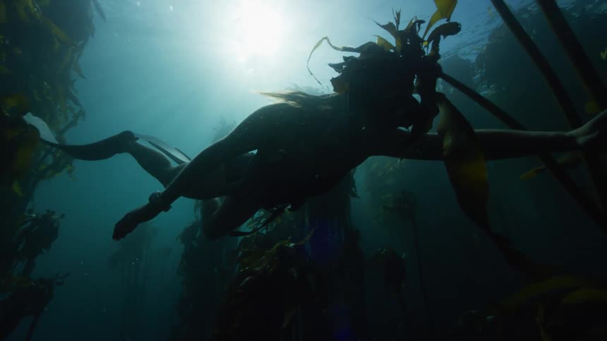 A woman swims among seaweed and underwater vegetation through a kelp forest as the sun shines brightly above the surface