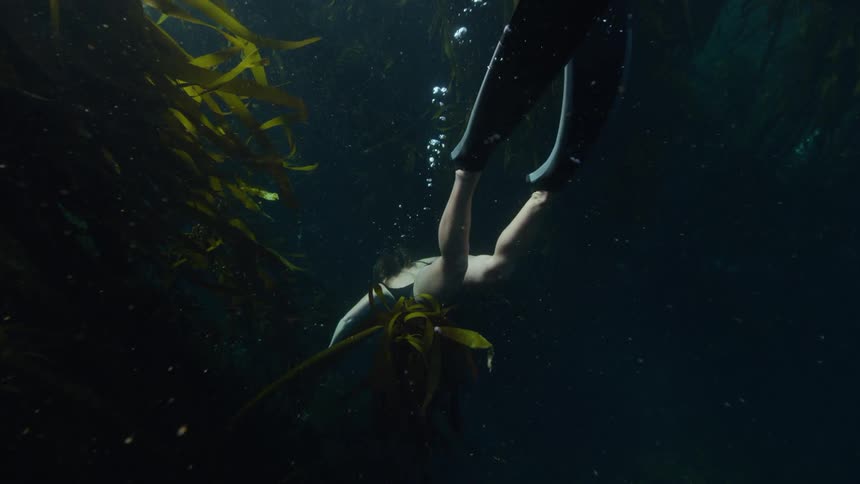 A woman wearing a snorkel and diving fins is swimming underwater through a kelp forest