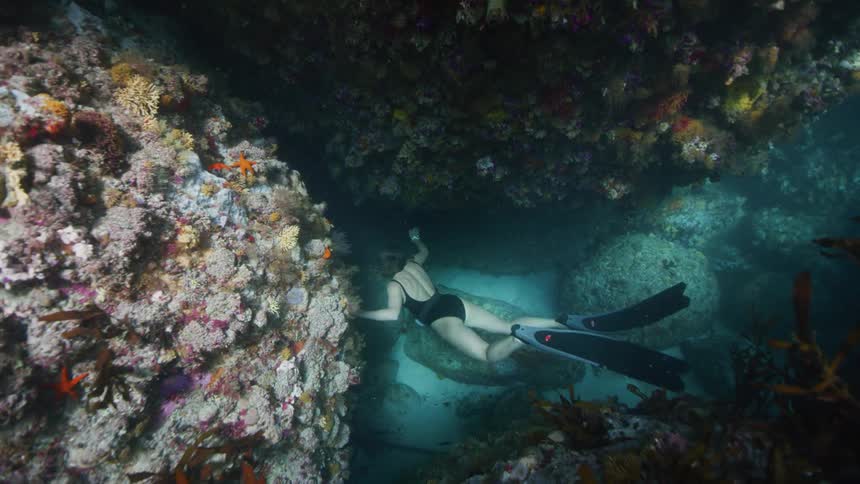 Female diver wearing a snorkel and fins swimming near and admiring coral reefs