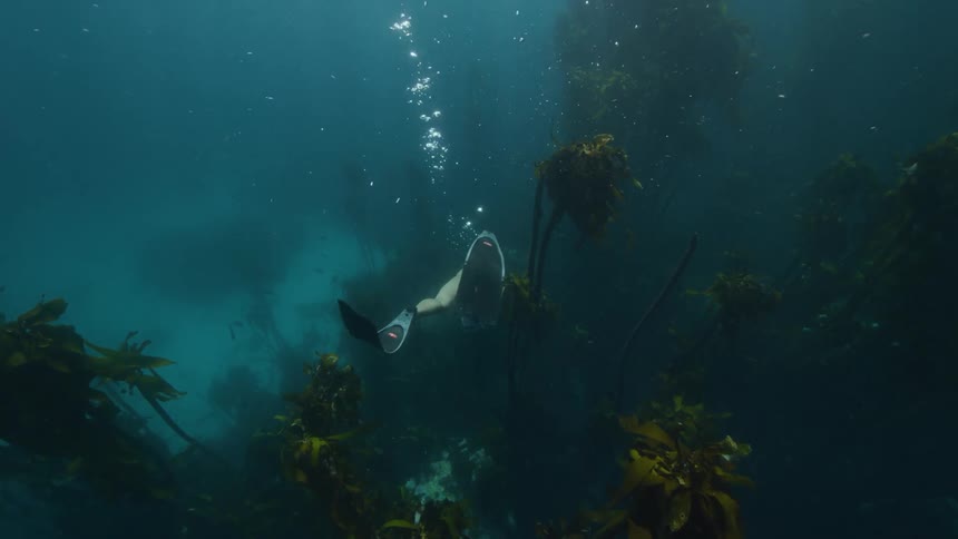 A woman is swimming under the ocean water