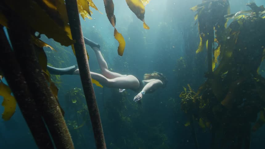 A woman swimming underwater with long flippers and goggles on through seaweed