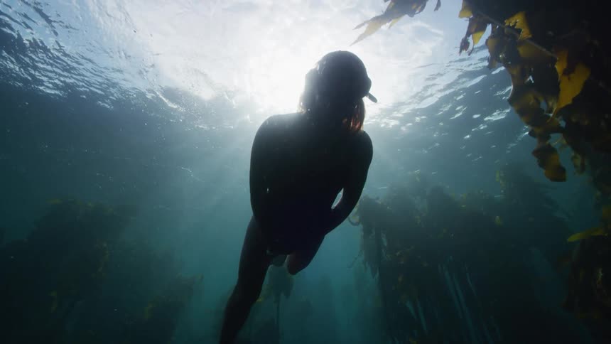 Slow motion underwater footage of a woman swimming through a kelp forest in the ocean