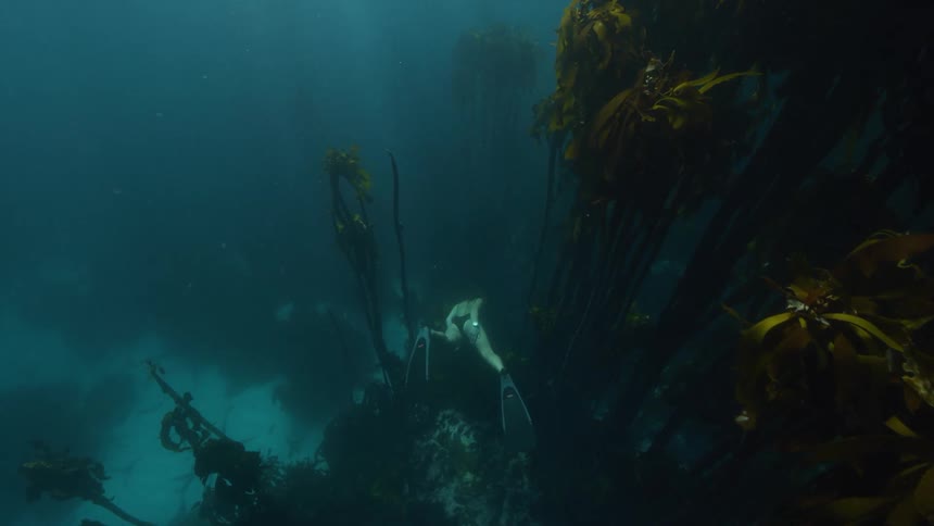 A woman swims in murky ocean water