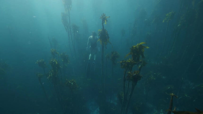 A female is swimming in the ocean water