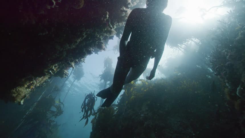Woman wearing snorkel gear and fins swims underwater in the ocean near kelp