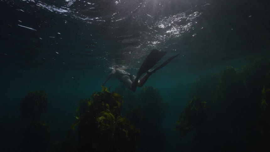 A woman swims under water in the ocean amongst plants and fish