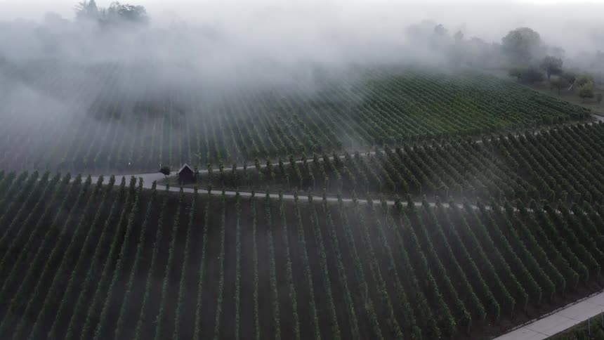An aerial view of fog over crops in a rural area