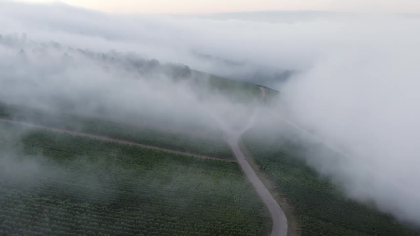 Thick fog moves over roads through farmland covering trees and hiding the mountains on the horizon