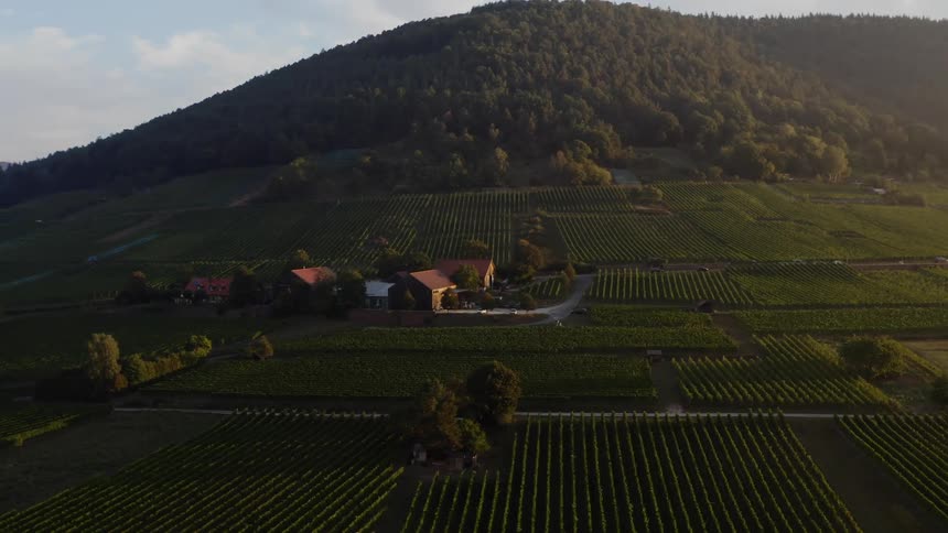 An aerial view of a green farm land with a house and a tree covered hillside