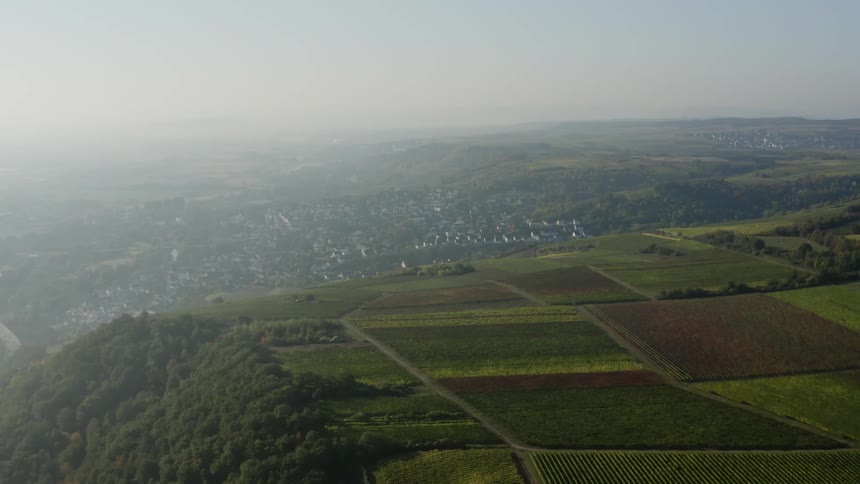 Crops sit in neat rows atop a hill in the countryside