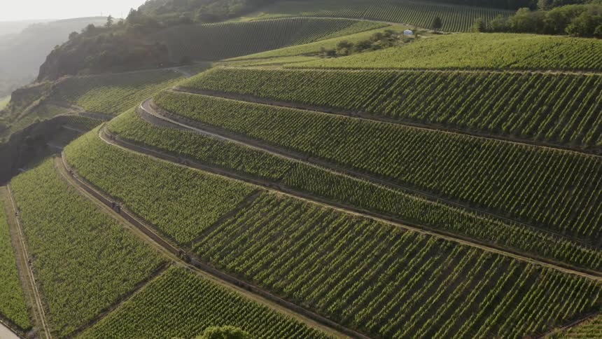 An aerial view of a green hillside with lush fields and roads traveling throughout