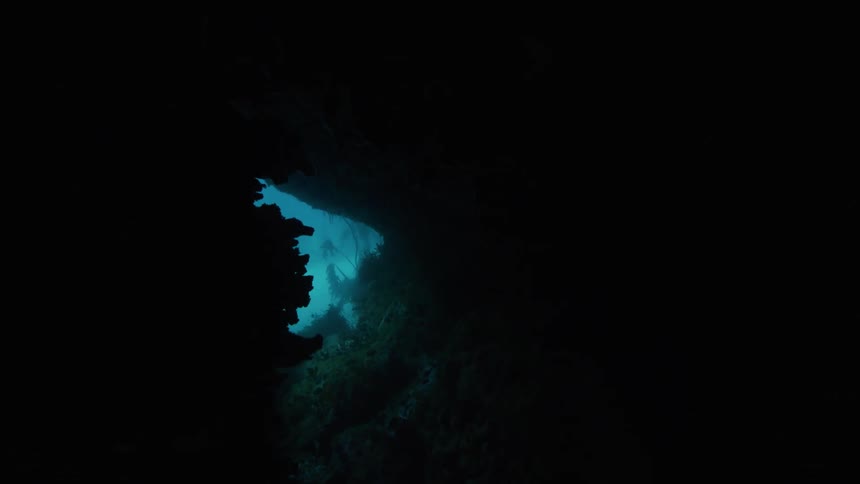 Seaweed grows near both ends of tunnel through reef in cold water