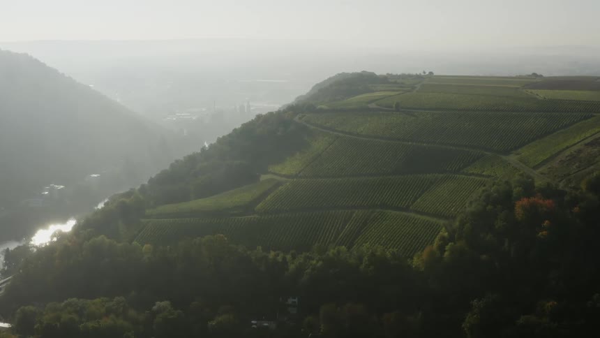 An aerial view of a green hillside with fields at dawn