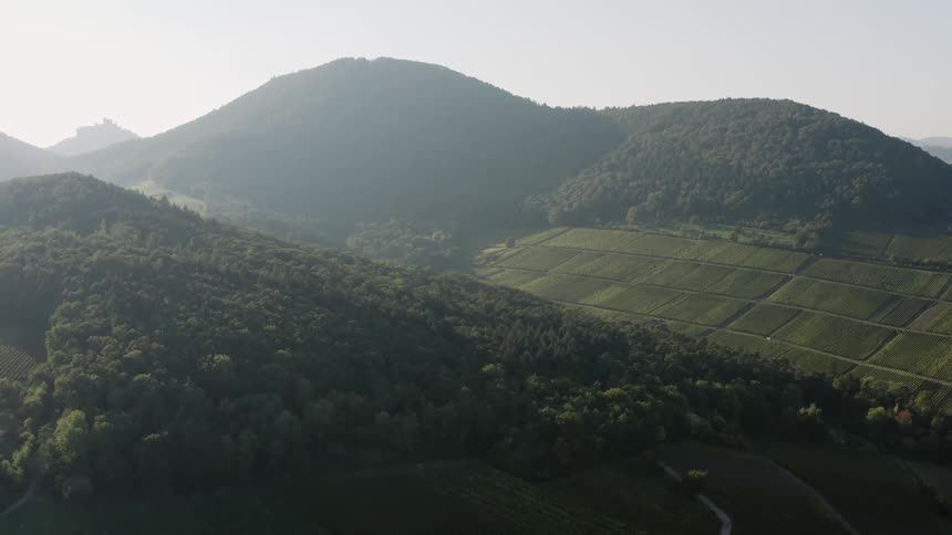 Aerial of crops nestled in between mountains in the countryside