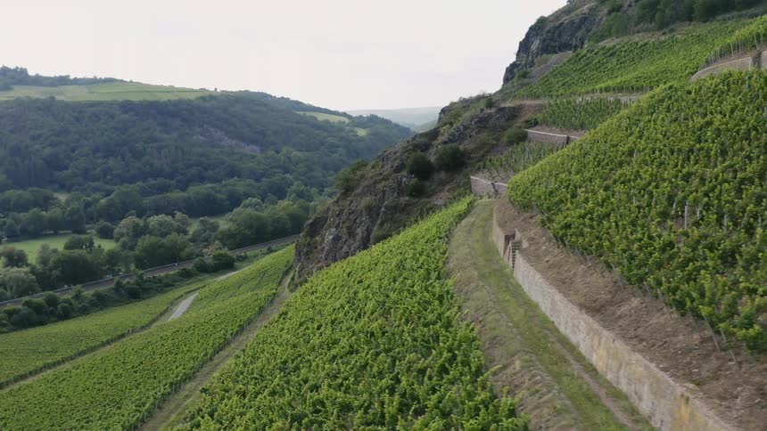 An aerial of a hillside with terraced fields