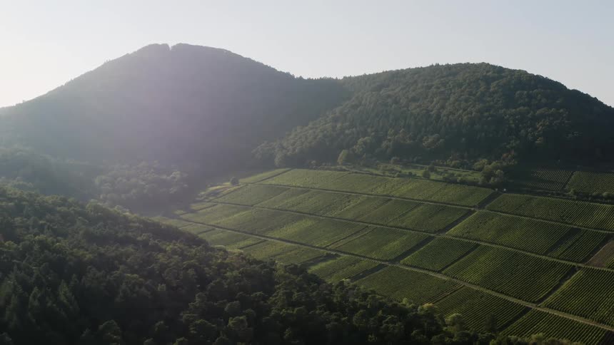 Aerial view of green pastures tucked between hills
