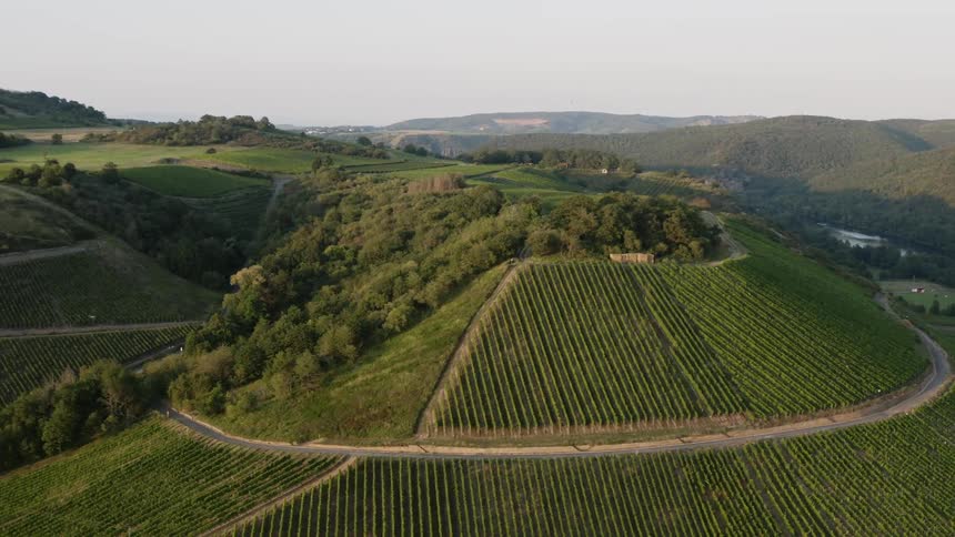 Dirt roads wind through rows and rows of crops