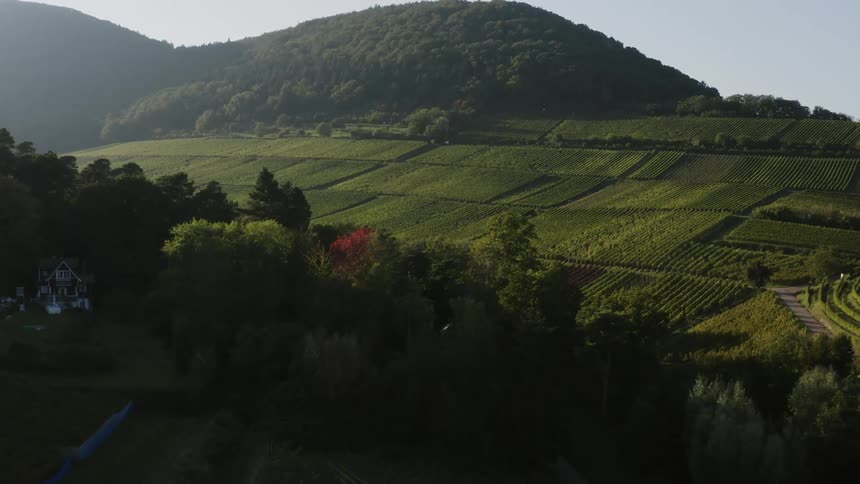 Large home sits near crop fields bordering forest covered mountain