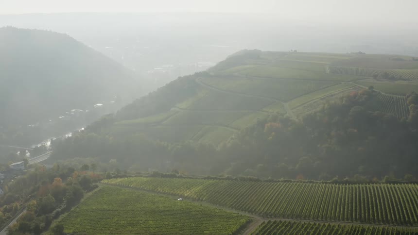 Aerial view of vineyards on mountains in fog