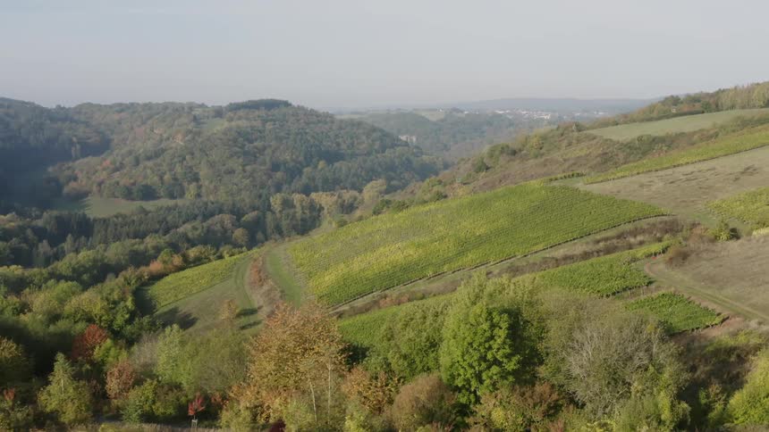 Panoramic view of agricultural land vineyards and forested areas with a city far away in the distance