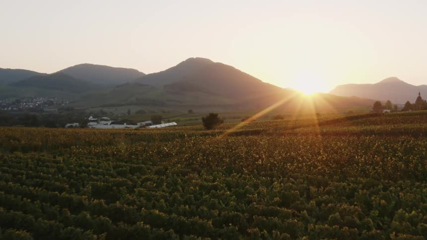 The sun is setting in the horizon of a farm field