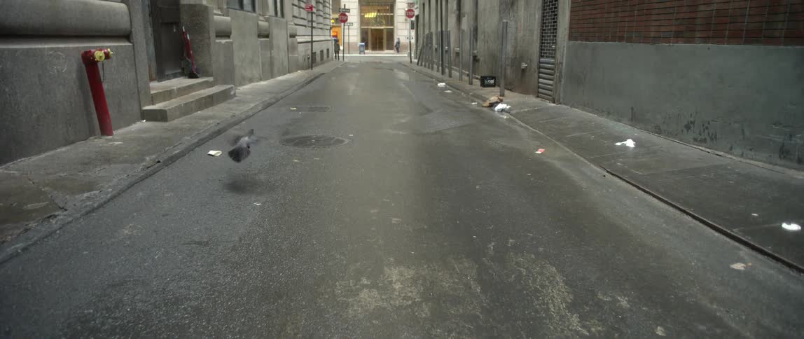 A pigeon in an alleyway flies off