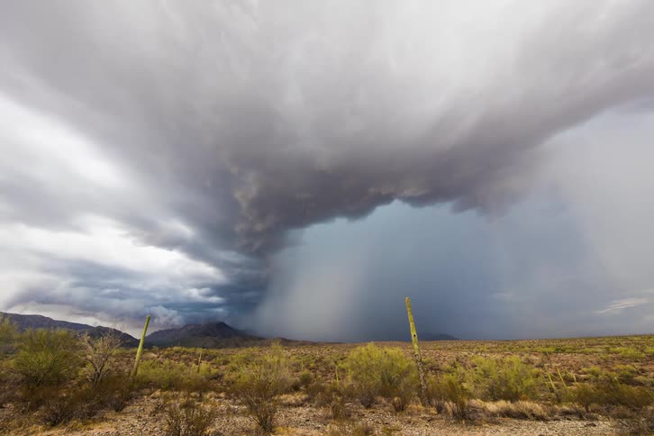A strong monsoon thunderstorm and downburst over saguaro and the desert