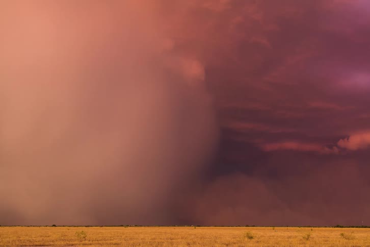 A powerful downburst and and blowing dust at sunset over the desert