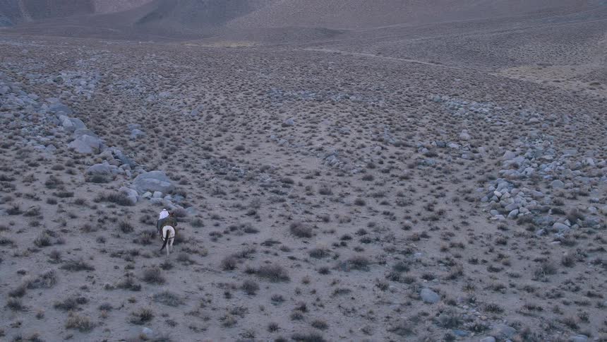 Man walking a horse in a desolate region